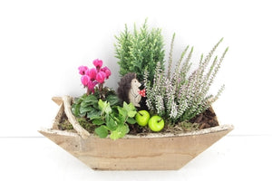 Vaiana Outdoor Plant Arrangement in Wooden Boat – 43cm