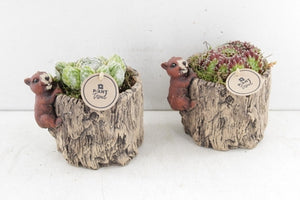 Ceramic Woodland Arrangement with Tree Stump and Squirrel – 16cm Pot