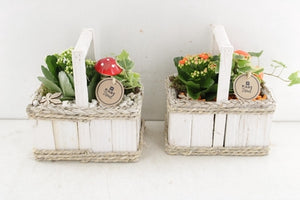Orange and White Hanging Basket Arrangement – 20cm