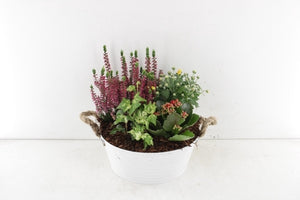 Pink Outdoor Arrangement in Zinc Planter