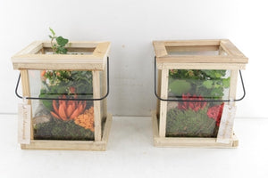 Indoor Plant Arrangement in Wooden Bowl – 20cm