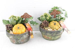 Orange Ceramic Plant Arrangement – 17cm Pot