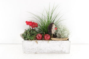 Outdoor Whitewash Arrangement – 34cm Pot