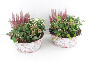 Outdoor Flower Arrangement in Round Zinc Planter – 25cm