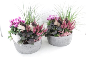 Outdoor Plant Arrangement in Grey Stone Bowl – 26cm