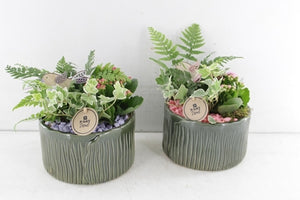 Dark Green Ceramic Plant Arrangement – 18cm Pot