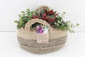 Mixed Plant Arrangement in Jute Basket – 18cm