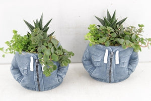Blue Ceramic Plant Arrangement – 14cm Pot