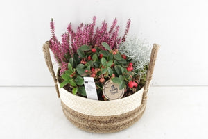 Outdoor Plant Arrangement in Round Wicker Basket – 28cm