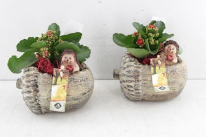 Decorative Lying Oak Branch Arrangement – 16cm Pot