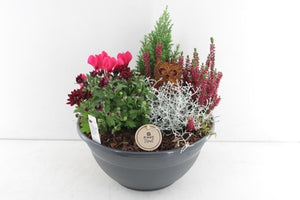 Large Black Outdoor Plant Arrangement – 28cm Pot