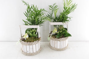 Round Wooden Arrangement – 15cm Pot