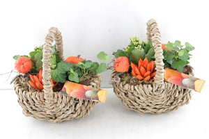 Orange Indoor Hanging Basket Arrangement – 24cm