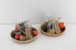 Ceramic Bowl Arrangement with Three Plants – 20cm