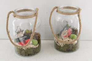 Amaryllis Arrangement in Glass Vase with Rope – 16cm