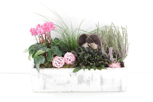 Outdoor Plant Arrangement in Whitewashed Wooden Box – 39cm