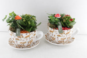 Autumn Orange and Red Plant Arrangement – 25cm Ceramic Pot