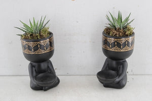 Haworthia ‘Spiritual Guy’ Arrangement – 14cm Ceramic Pot