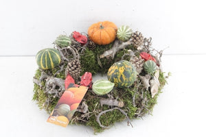 Orange Decorative Plant Arrangement – 30cm Pot
