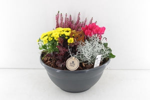 Large Black Outdoor Plant Arrangement – 28cm Pot