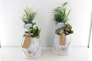 White and Pink Flower Arrangement in Zinc Milk Churn – 18cm