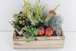Outdoor Birch Arrangement in Rectangular Wooden Planter – 36cm
