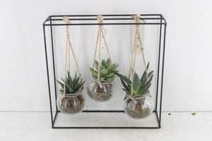 Black Metal Hanging Plant Arrangement – 30cm