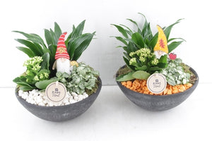 Orange and White Plant Arrangement – 22cm Ceramic Pot