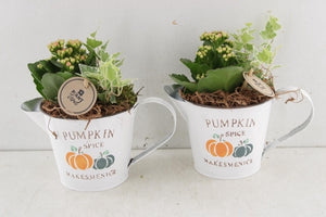 Pumpkin Spice Arrangement in Zinc Pot – 20cm