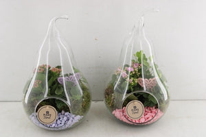 Pink and Lilac Arrangement in Glass Pot – 19cm