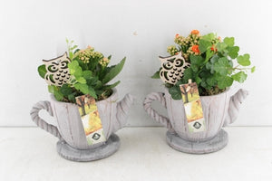 Decorative Cement Teapot Arrangement – 18cm