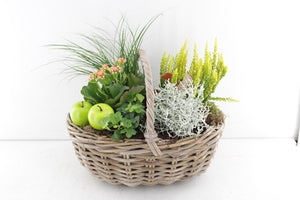 XXL Kubu Wicker Arrangement – 34cm