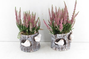 Outdoor Ceramic Arrangement with Decorative Bird Feature – 14cm Pot
