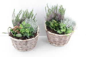 Outdoor Arrangement in Brown Wicker Basket – 24cm