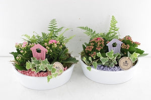 White Ceramic Plant Arrangement – 24cm Pot