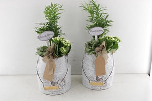 Mixed Arrangement in Zinc Milk Churn – 18cm