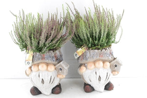 Outdoor Arrangement with Ceramic Forest Gnome – 20cm Pot