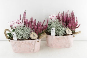Vintage Zinc Garden Arrangement – 24cm Pot