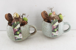 Amaryllis Arrangement in Dotz Ceramic Pot – 18cm