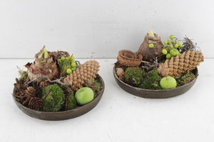 Succulent Arrangement in Brown Ceramic Pot – 20cm