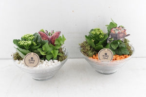 Orange and White Ribbed Glass Plant Arrangement – 18cm