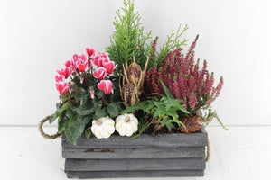 Outdoor Plant Arrangement in Dark Grey Rectangular Wooden Planter – 31cm