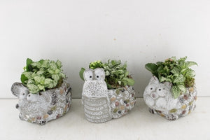 Ceramic Animal Arrangement – 16cm Pot