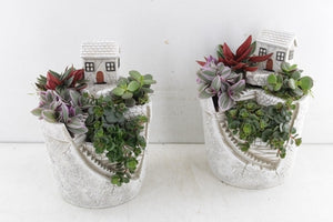 Stairway to Eden Mixed Plant Arrangement – 17cm Ceramic Pot