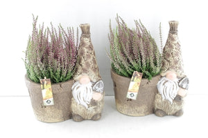 Outdoor Plant Arrangement with Brown Gnome and Basket – 27cm