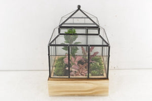 Wardian Case Terrarium Arrangement – 20cm Glass