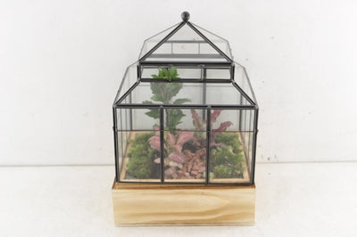 Wardian Case Terrarium – 20cm Glass