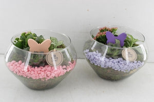 Pink and Lilac Glass Plant Arrangement – 22cm