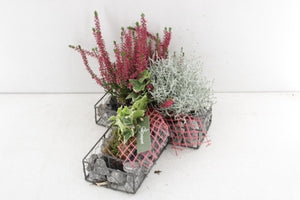 All Saints’ Day Metal Cross Arrangement – 38cm