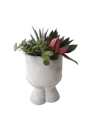 Mini Green Plant Arrangement – 14cm Grey Ceramic Pot